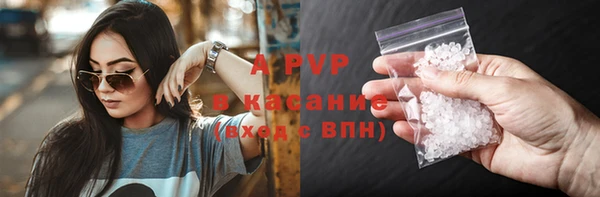 стаф Бронницы