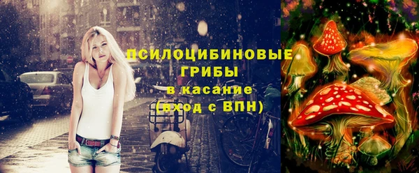 стаф Бронницы