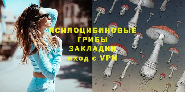 крисы Карталы