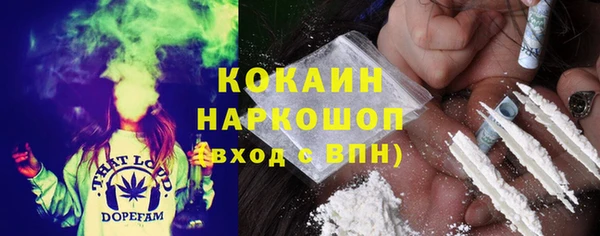 индика Беломорск