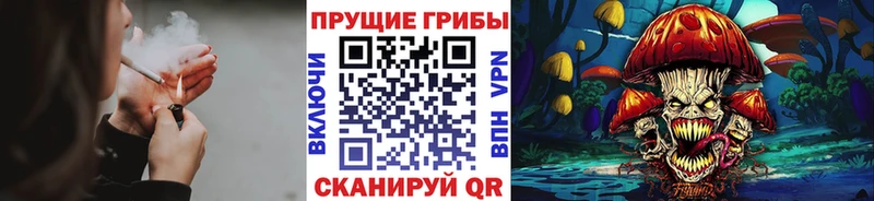 hydra онион  цена   Кузнецк  Псилоцибиновые грибы Psilocybe 