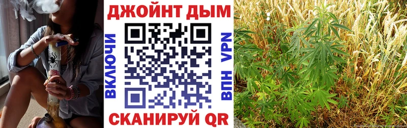 Бошки марихуана White Widow  купить закладку  Кузнецк 